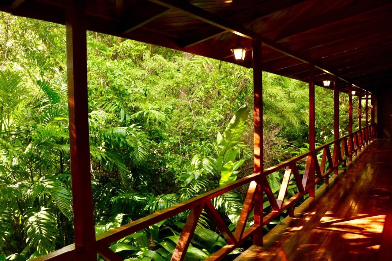 Foto - Jaguarundi Lodge