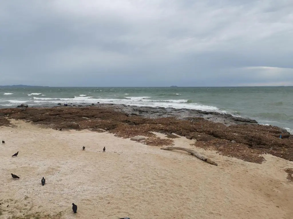 Photo - Dojo pool villa