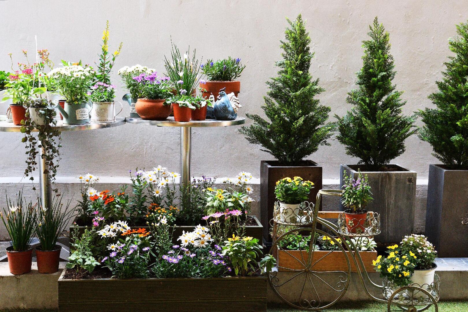 Photo - The Blossom Yeonnam Guesthouse