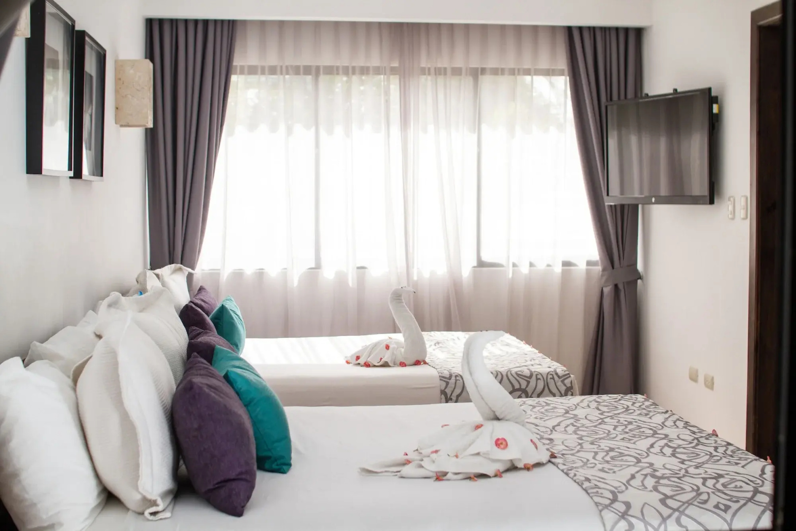 Photo - Hotel Silvestre