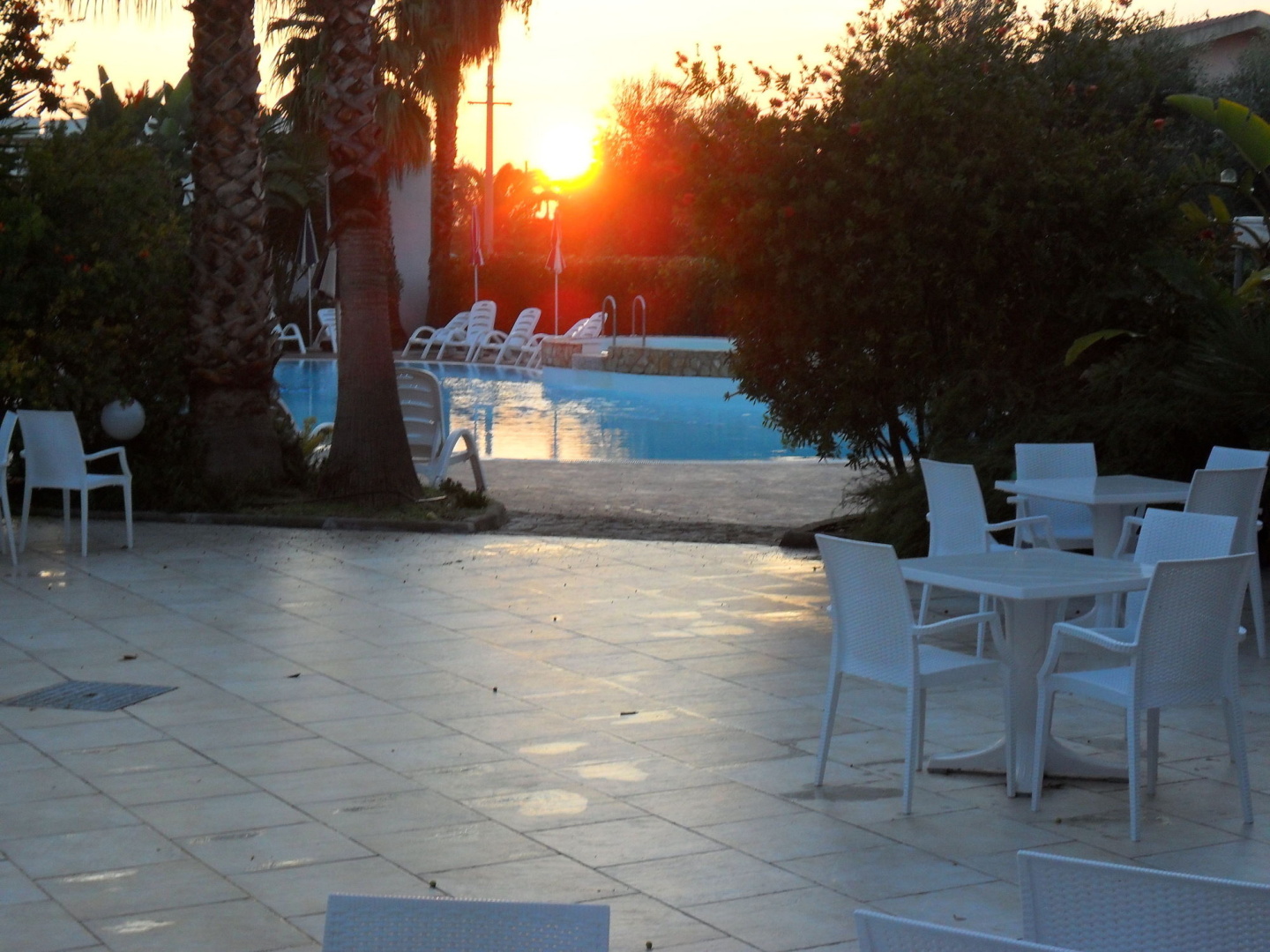 Foto - Hotel Magnolia