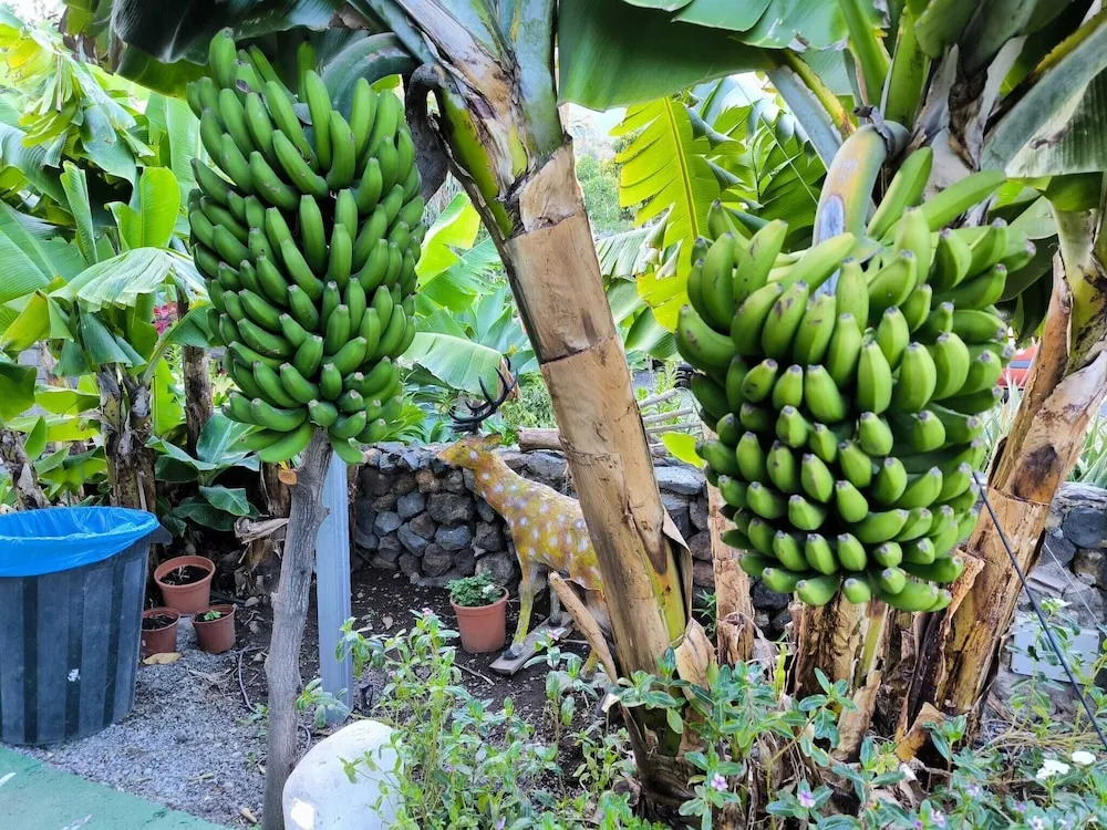 Foto - Hotel Rural La Raya 1866