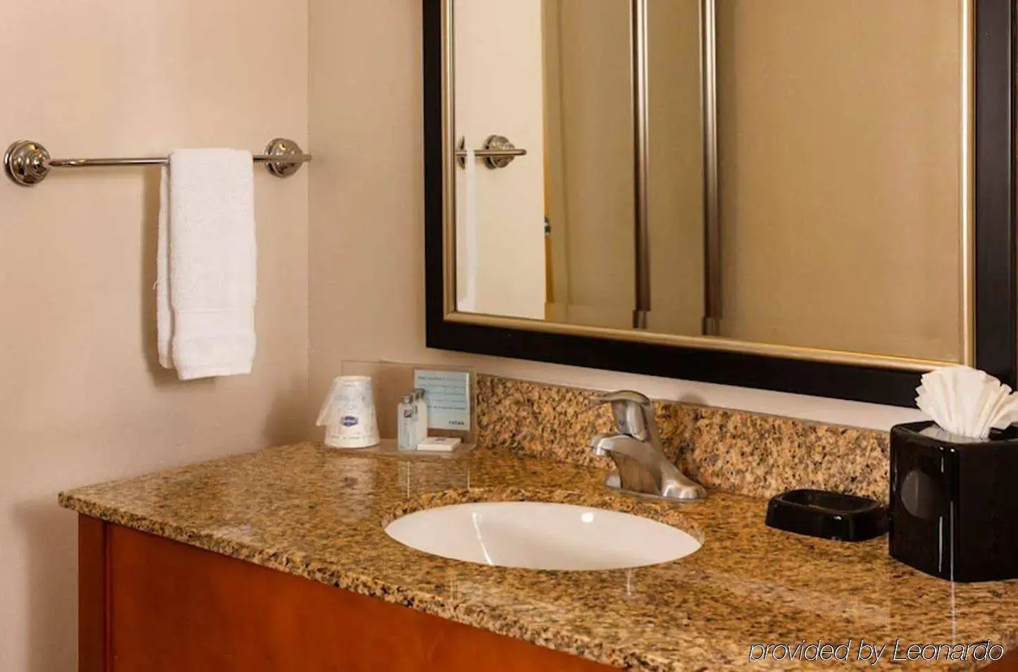 Photo - Hampton Inn & Suites Houston-Medical Center-NRG Park