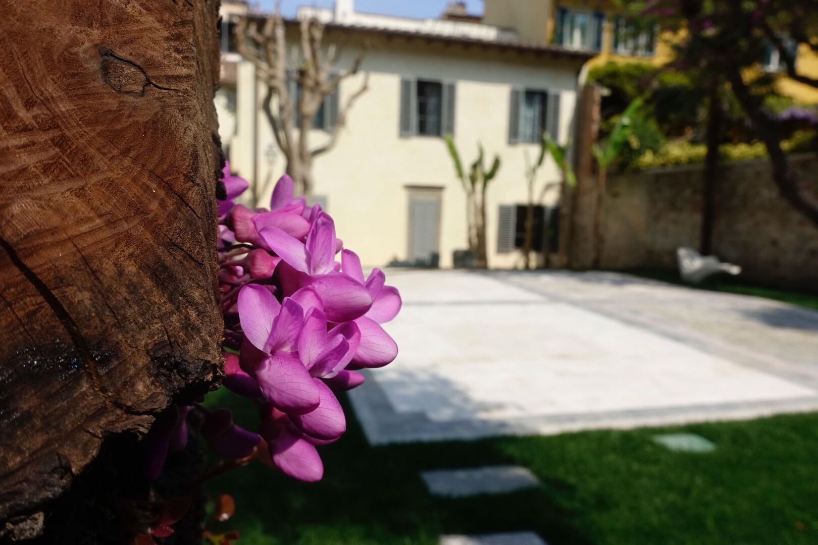 Photo - Numa Florence Palazzo San Niccolò