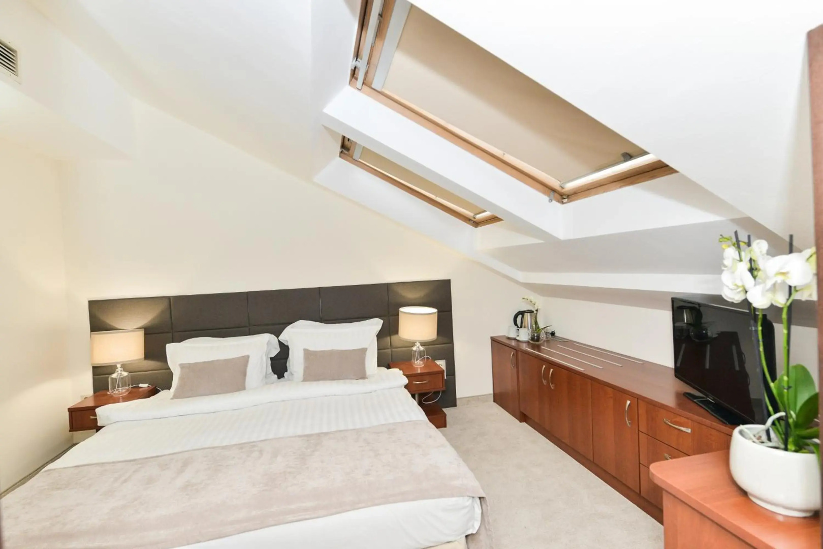 Foto - Art Plaza Hotel