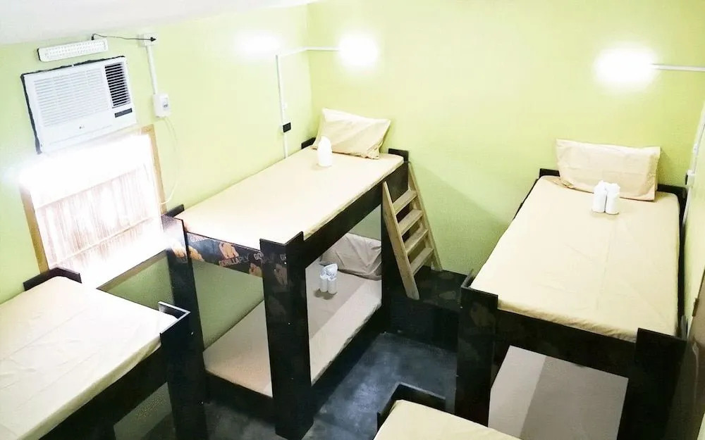 Foto - Big Paul Hostel