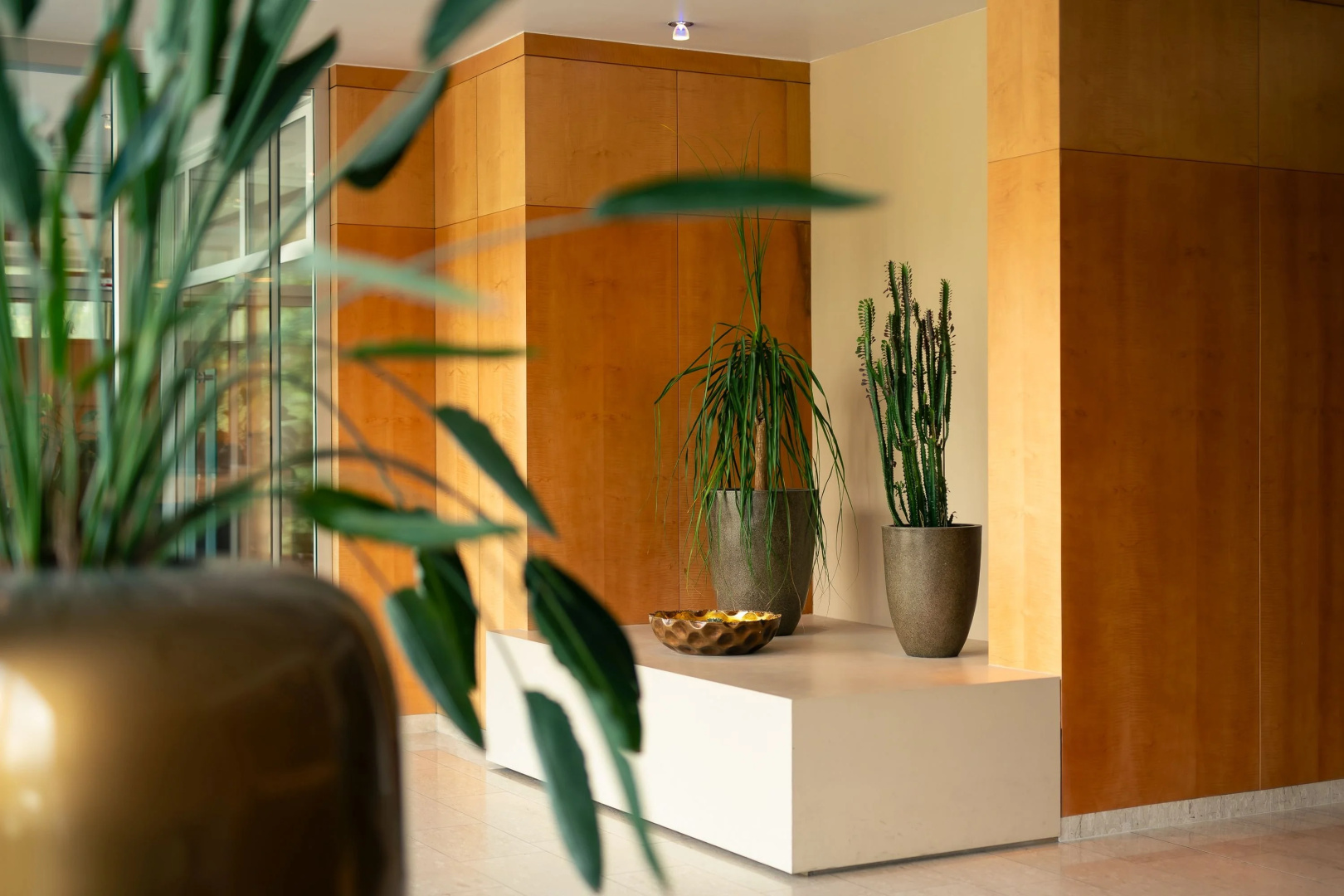 Photo - Hotel Penz West