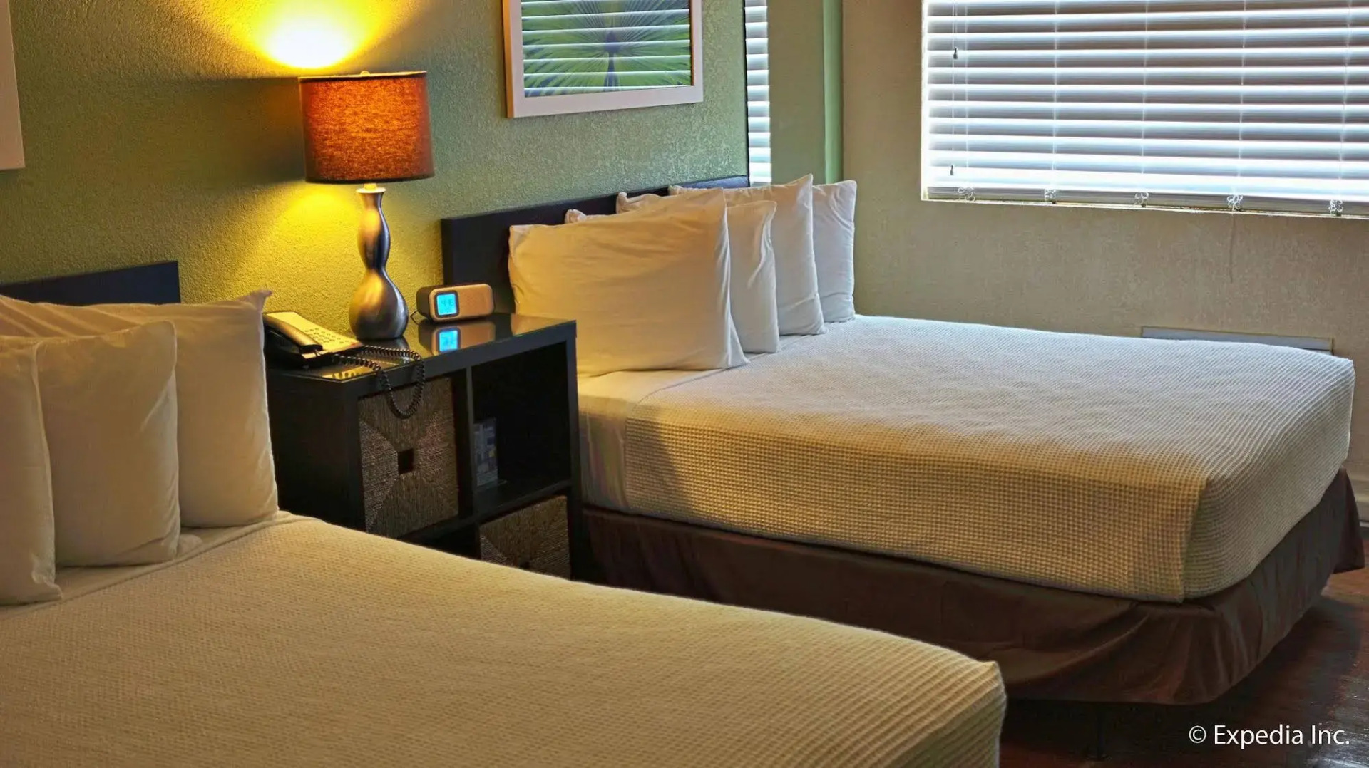 Foto - Colony Hotel