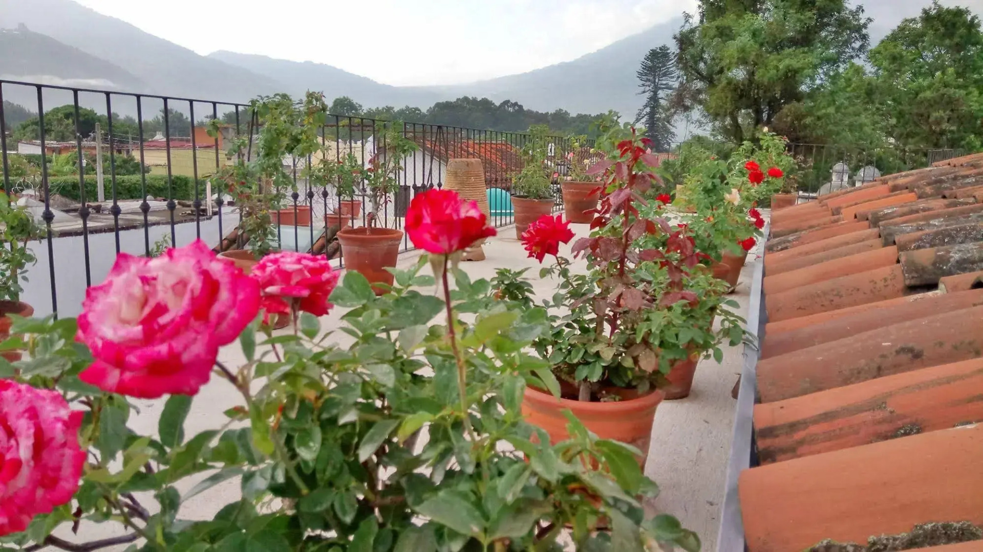 Foto - Hotel La Villa Serena