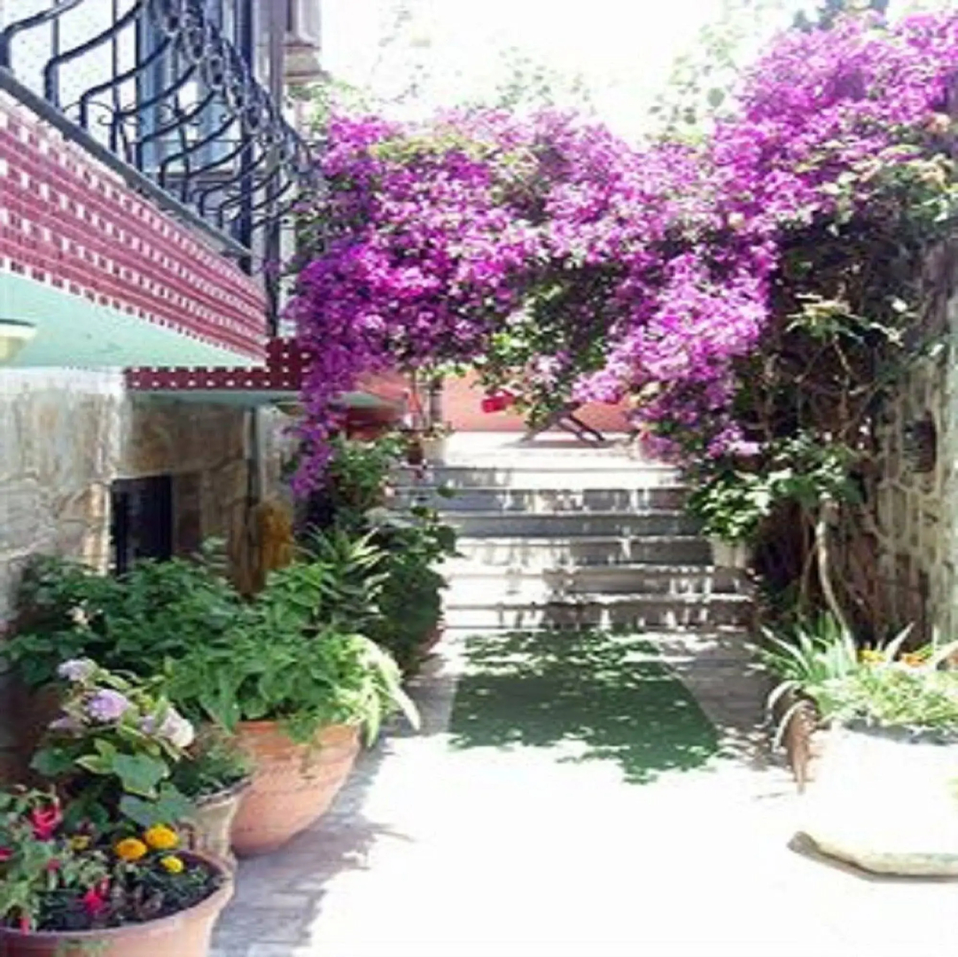 Photo - Sezgin Boutique Hotel