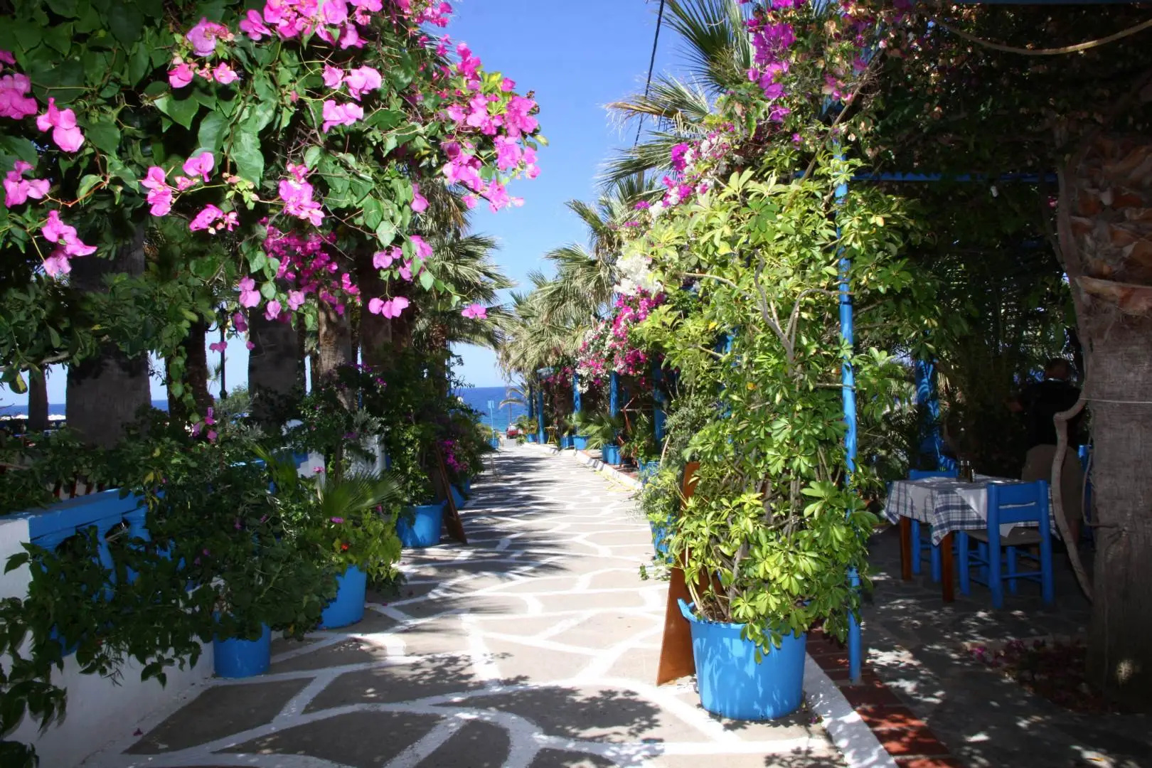 Foto - Palm Bay Hotel