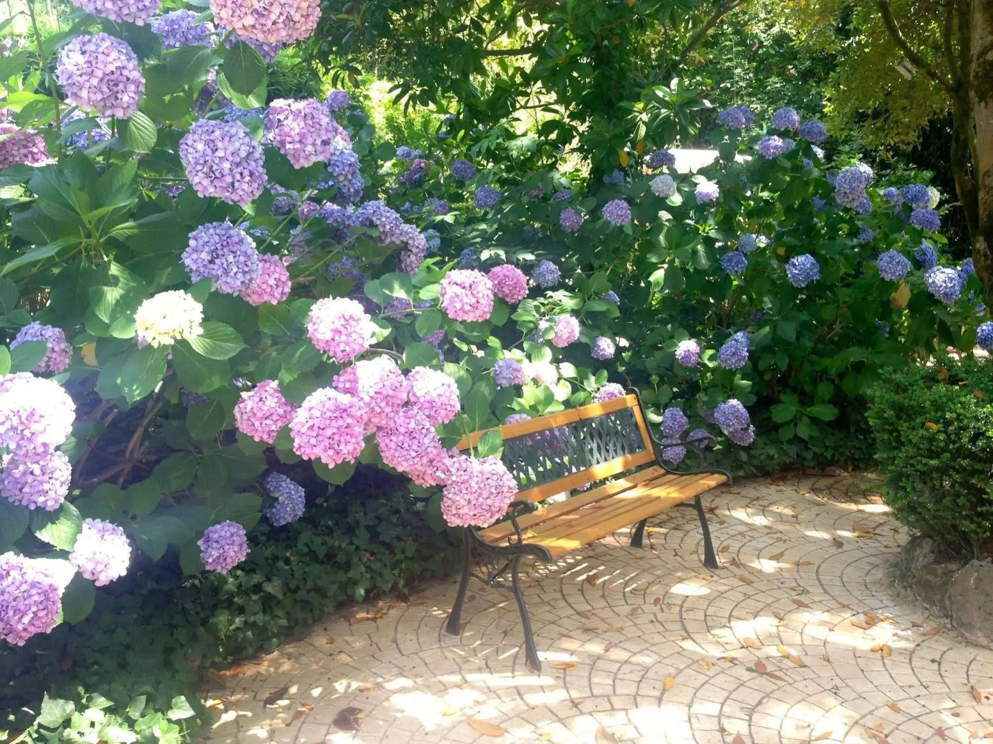 Foto - Villa Abbamer