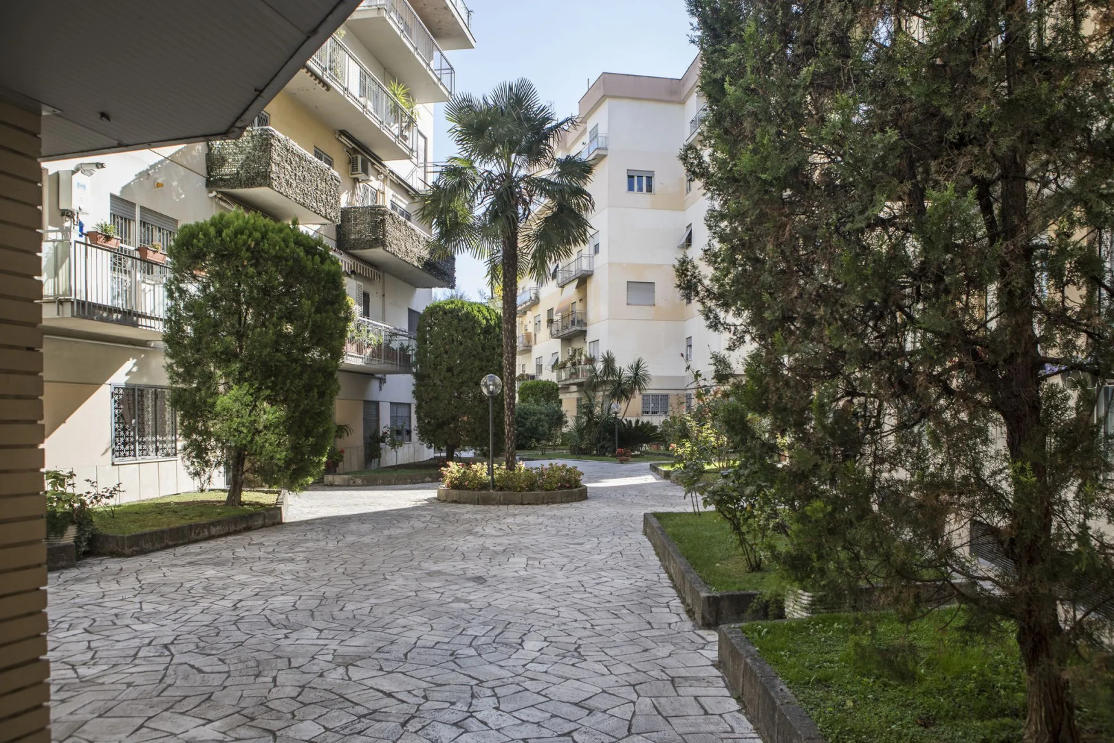 Foto - Dreams Of Rome