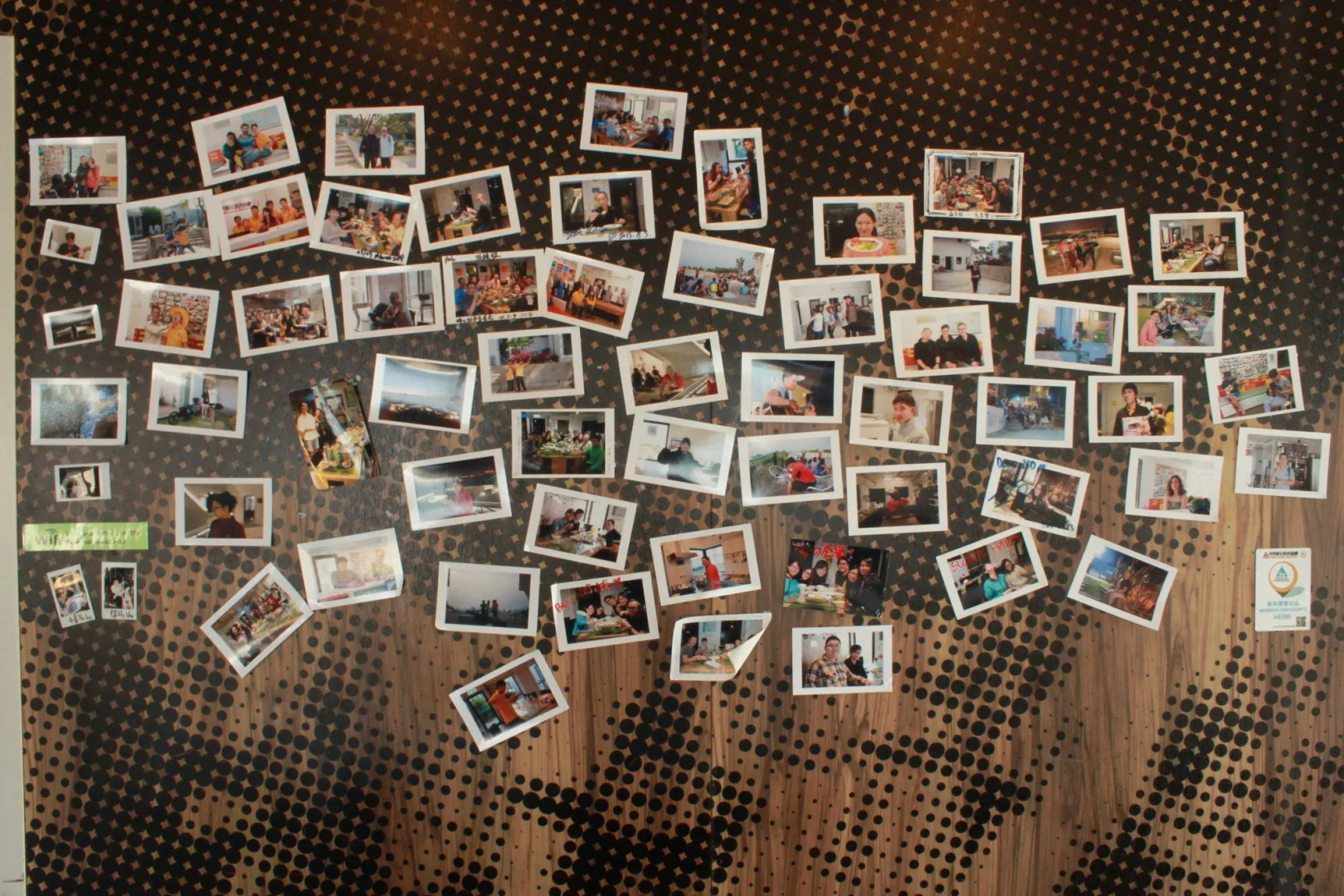 Foto - YHA Jockey Club Mt. Davis Youth Hostel