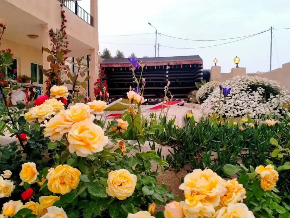 Photo - B&B petrafarmhouse