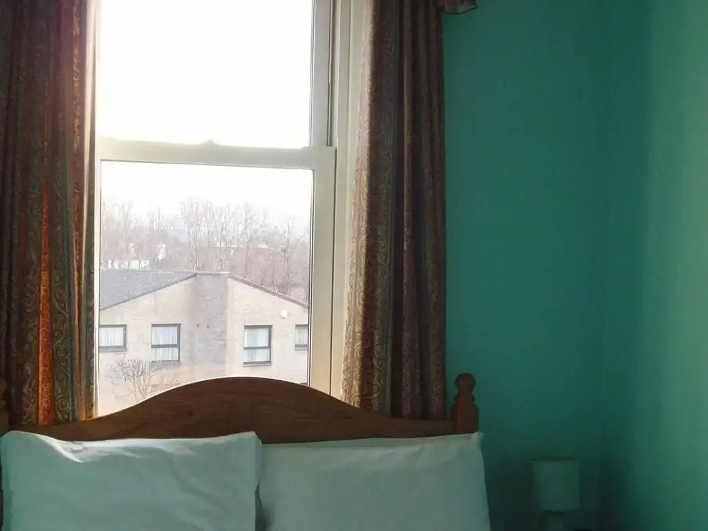 Photo - Twin Lions Hotel