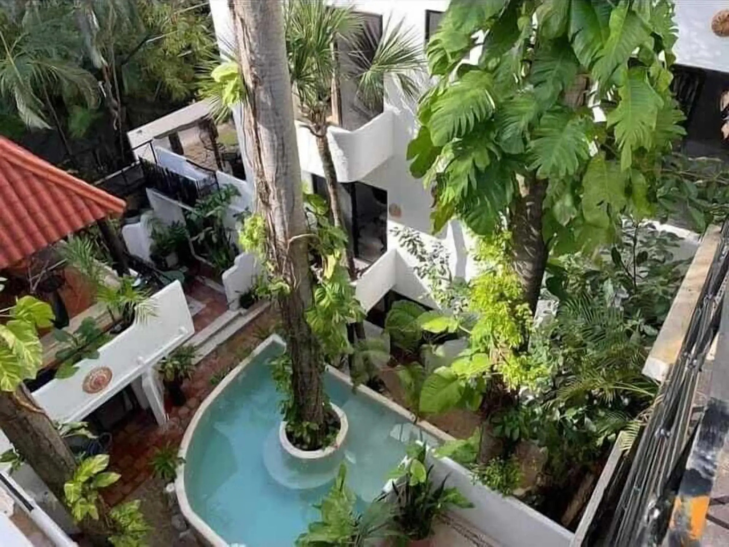 Foto - Moonshine Hotel