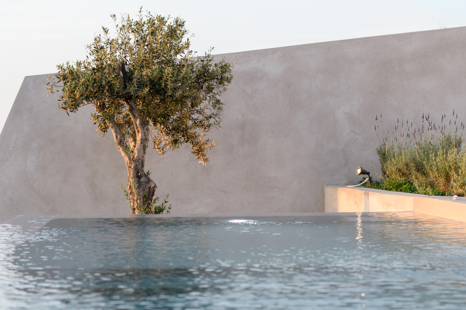 Photo - Albus Villas