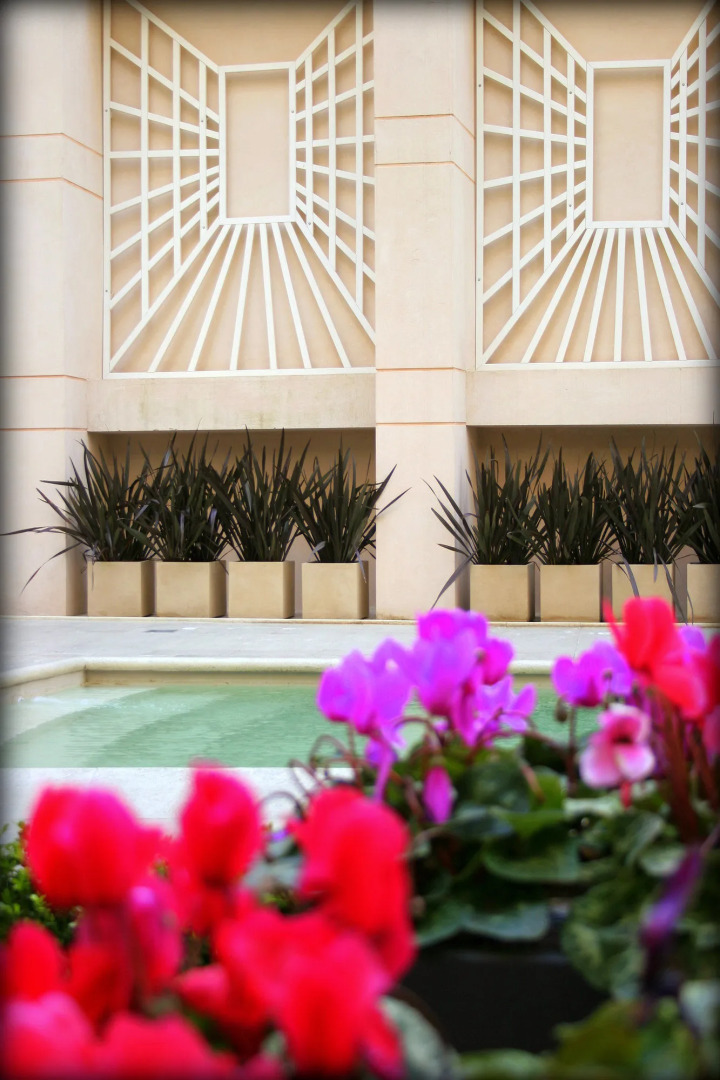 Foto - Regal Pacific Puerto Madero