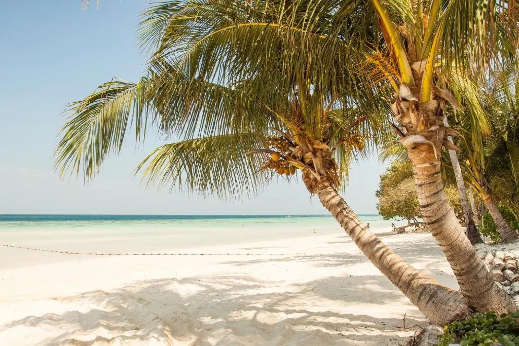 Photo - Hotel Blanco Tulum Adults Only