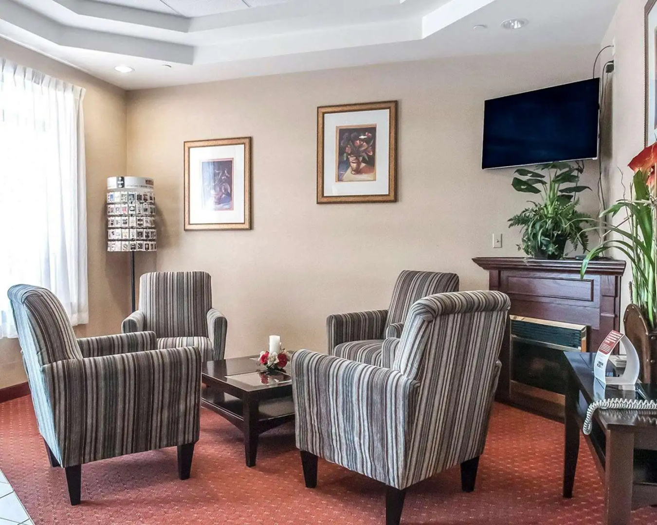 Foto - Comfort Inn Mississauga