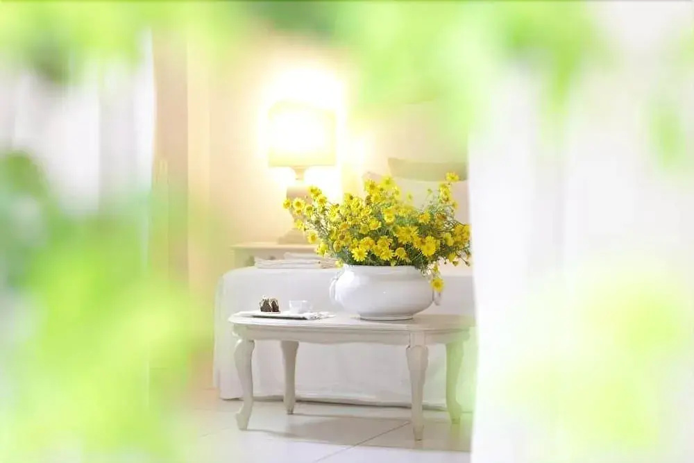 Foto - Maison D'Enrì