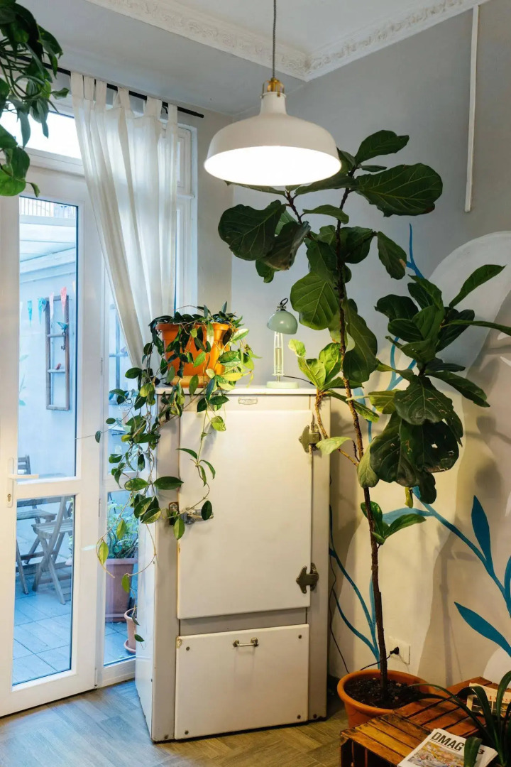 Foto - Tomato Urban Retreat