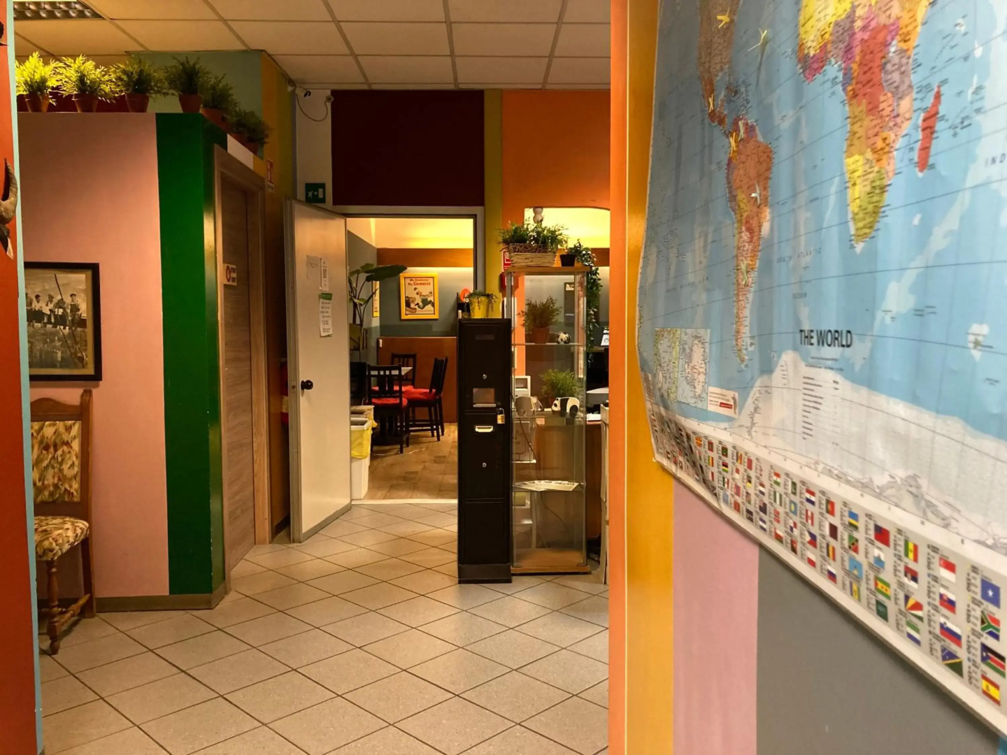 Photo - Koala Hostel