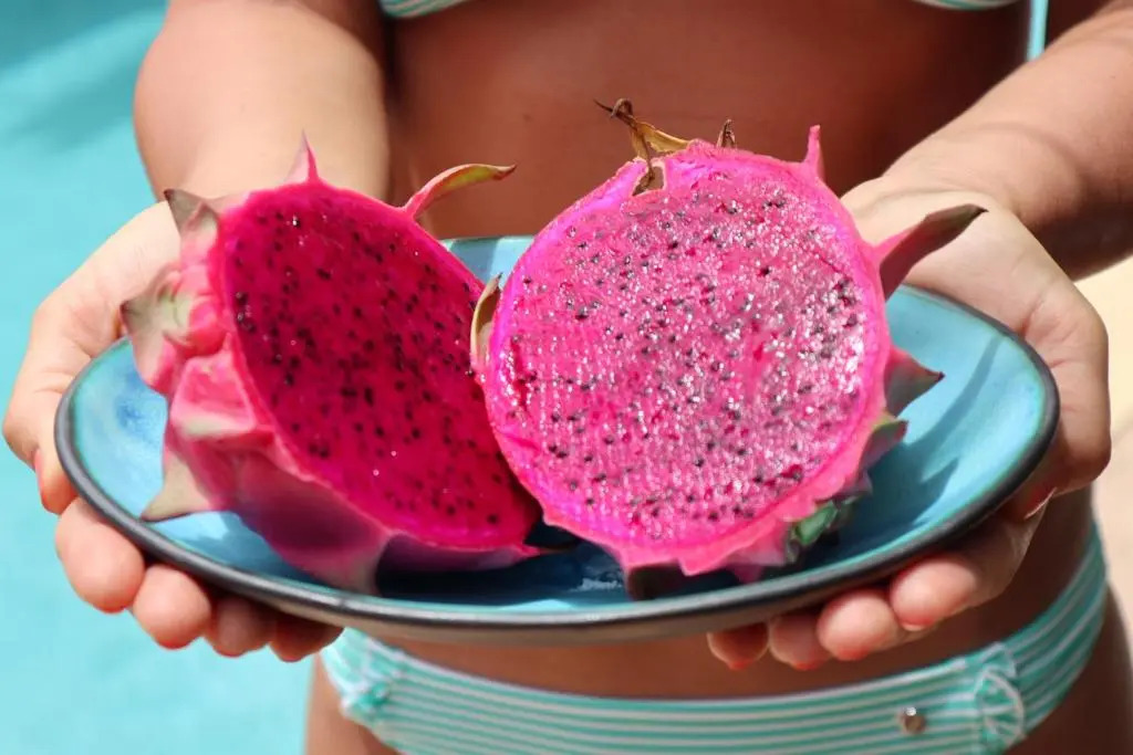 Foto - Paradera Park Aruba