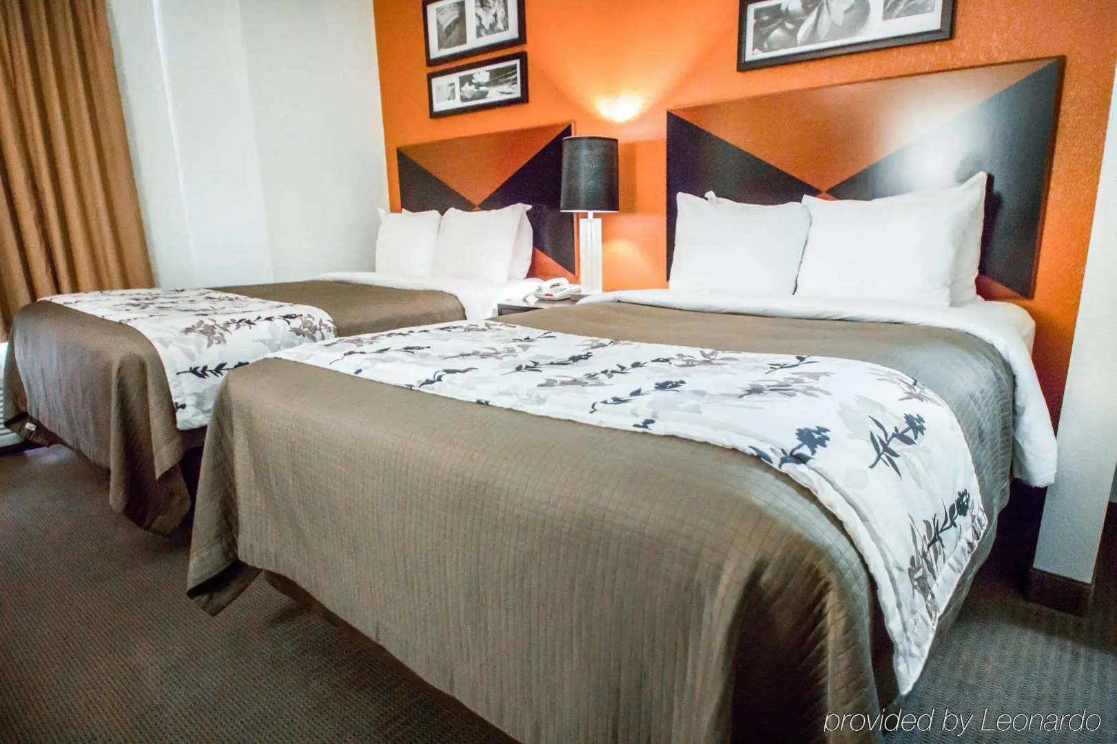 Foto - Sleep Inn Sarasota North