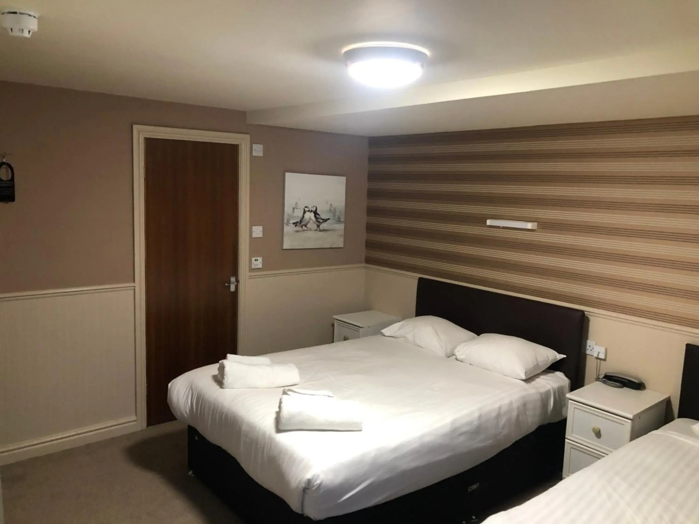 Foto - Lyndene Hotel