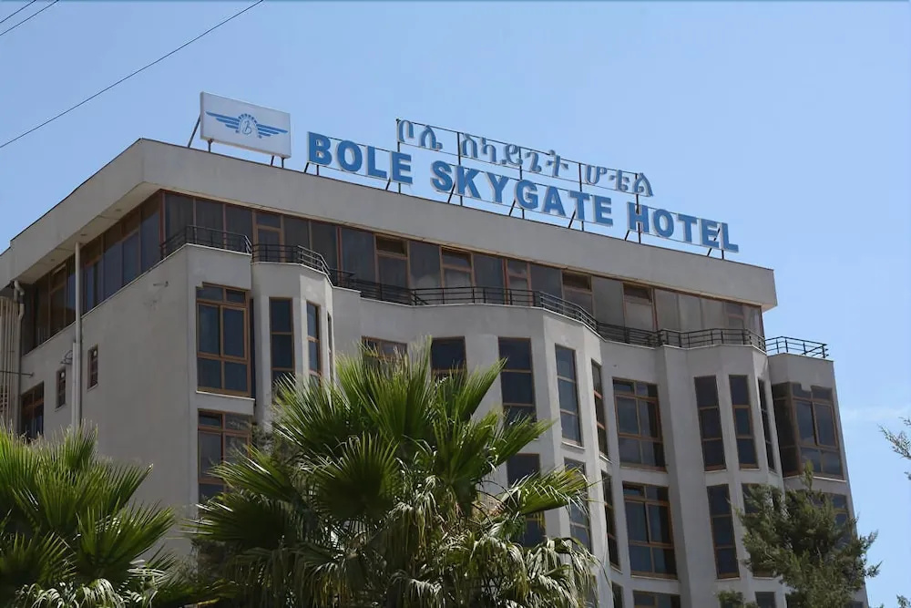 Bole Skygate Hotel — фото 1