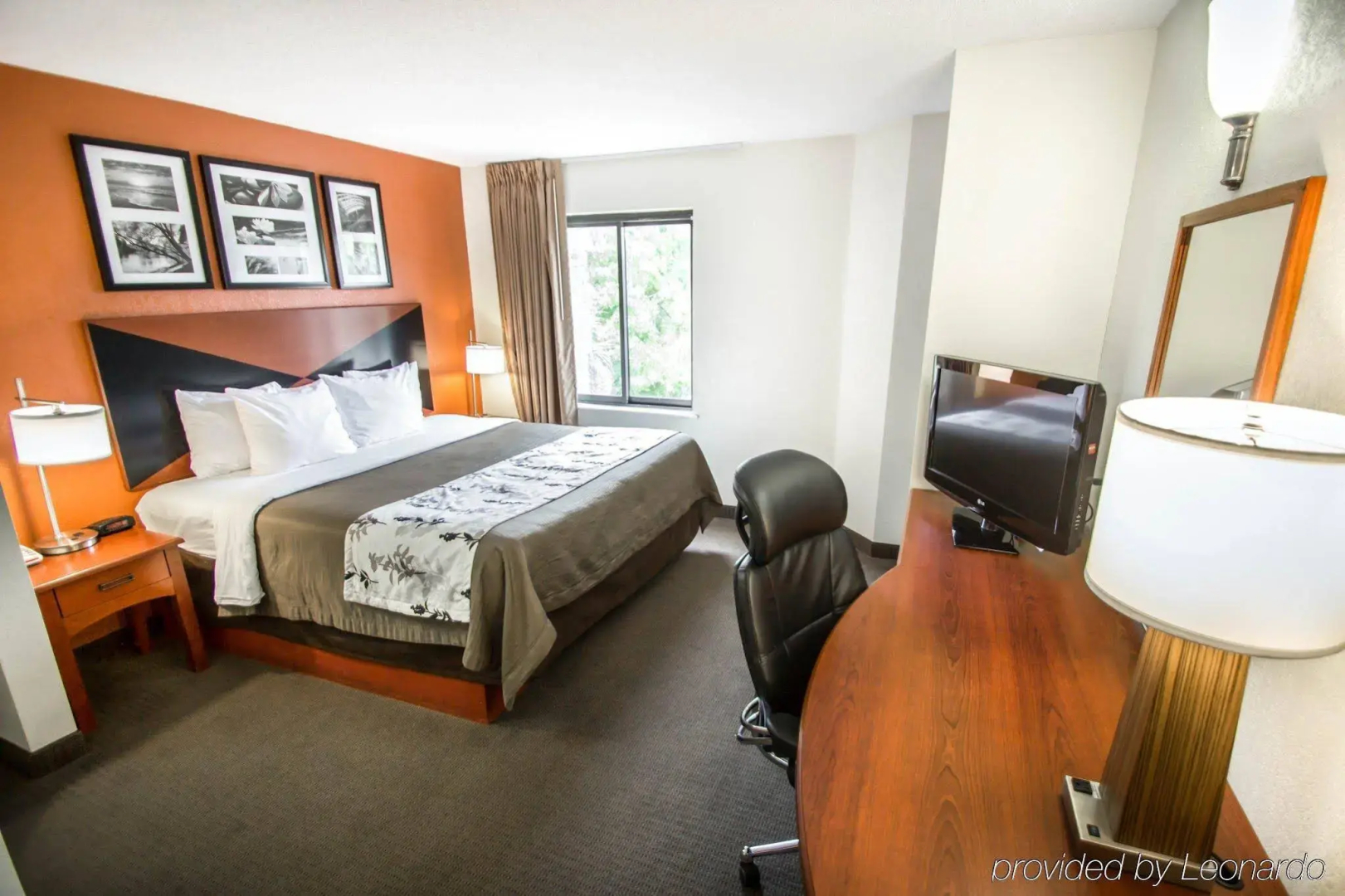 Foto - Sleep Inn Sarasota North