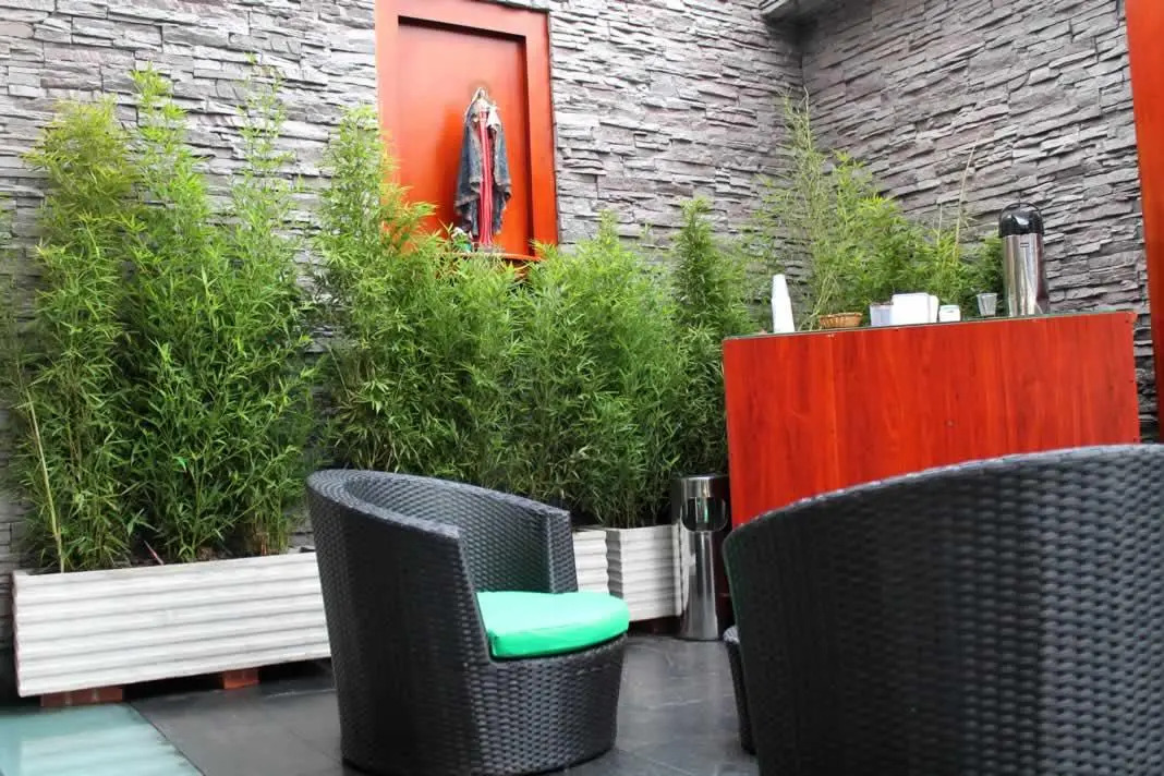 Photo - Hotel Splendor by Friends Company