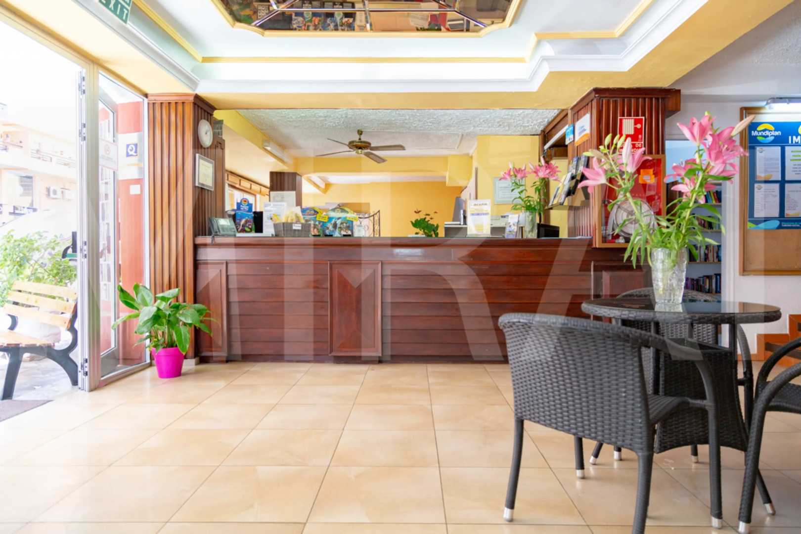 Foto - Hotel Tropical
