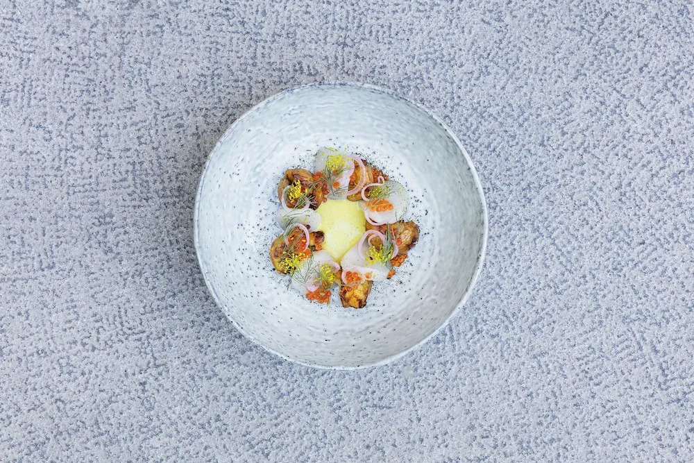 Foto - Åkeshofs Slott