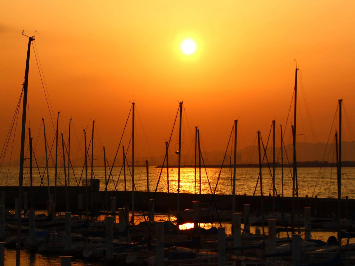 Photo - Osaka Hokko Marina HULL