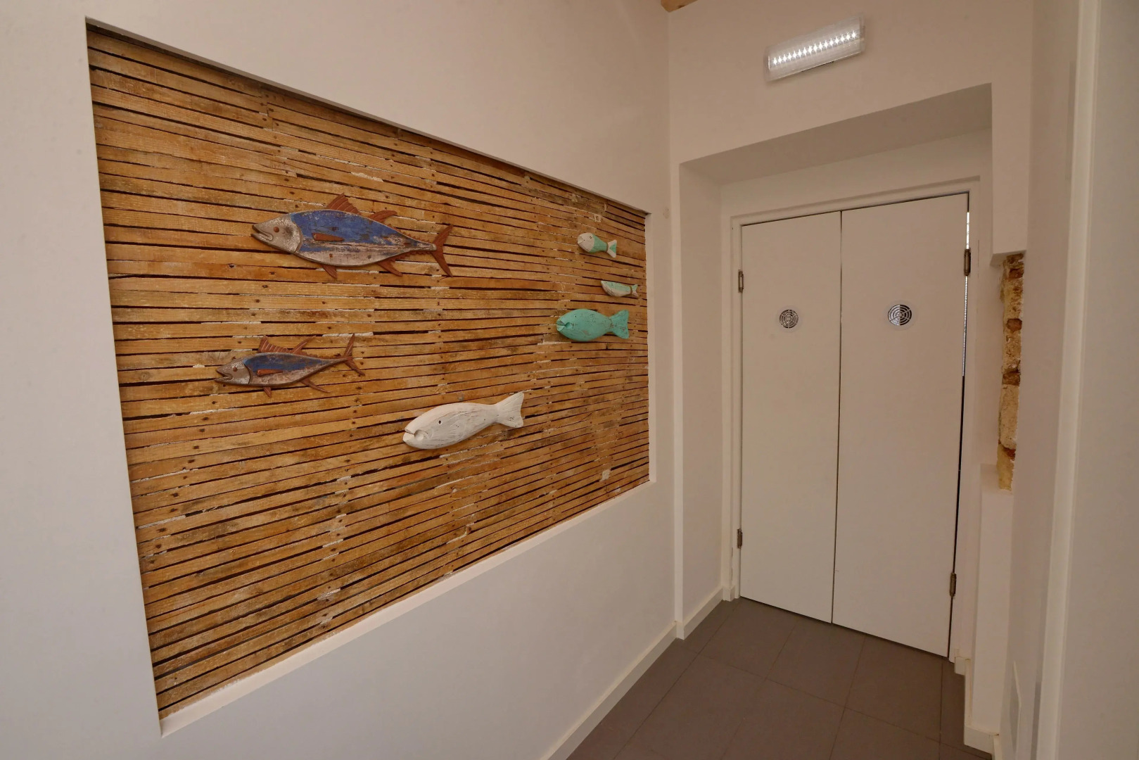 Photo - Son of a Beach Hostel