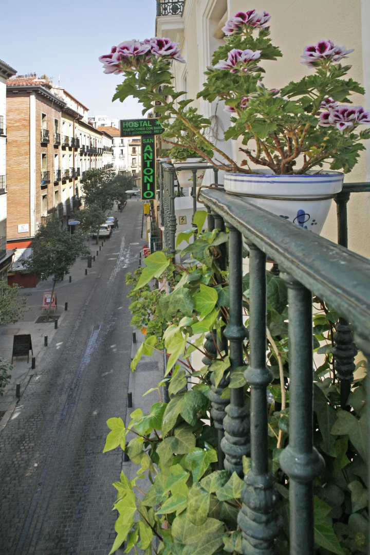 Foto - Hostal San Antonio