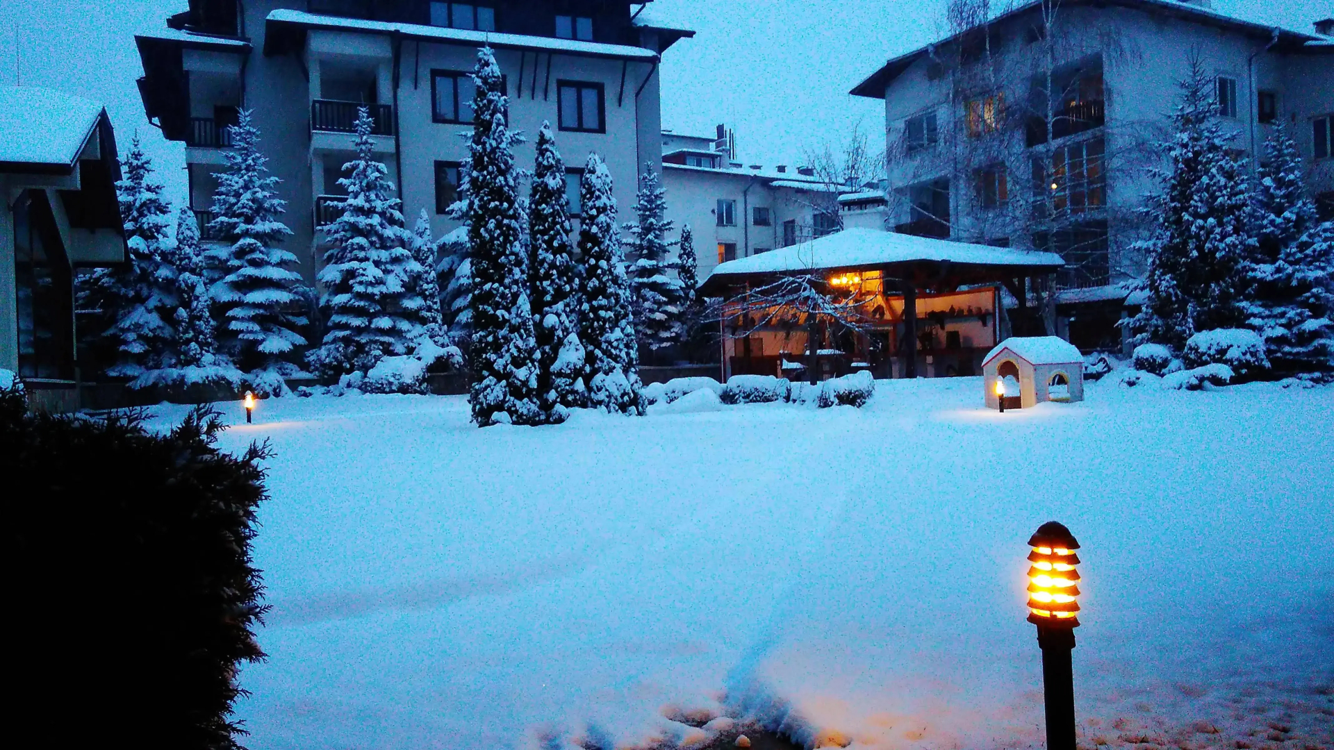 Foto - Evelina Palace Hotel