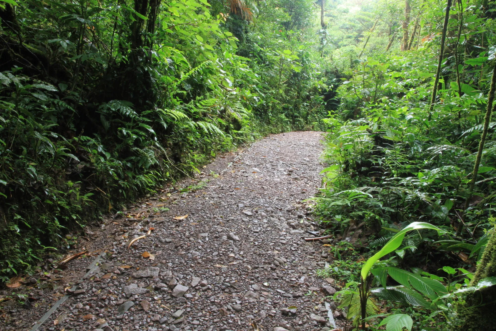 Foto - Monteverde Lodge by Böëna