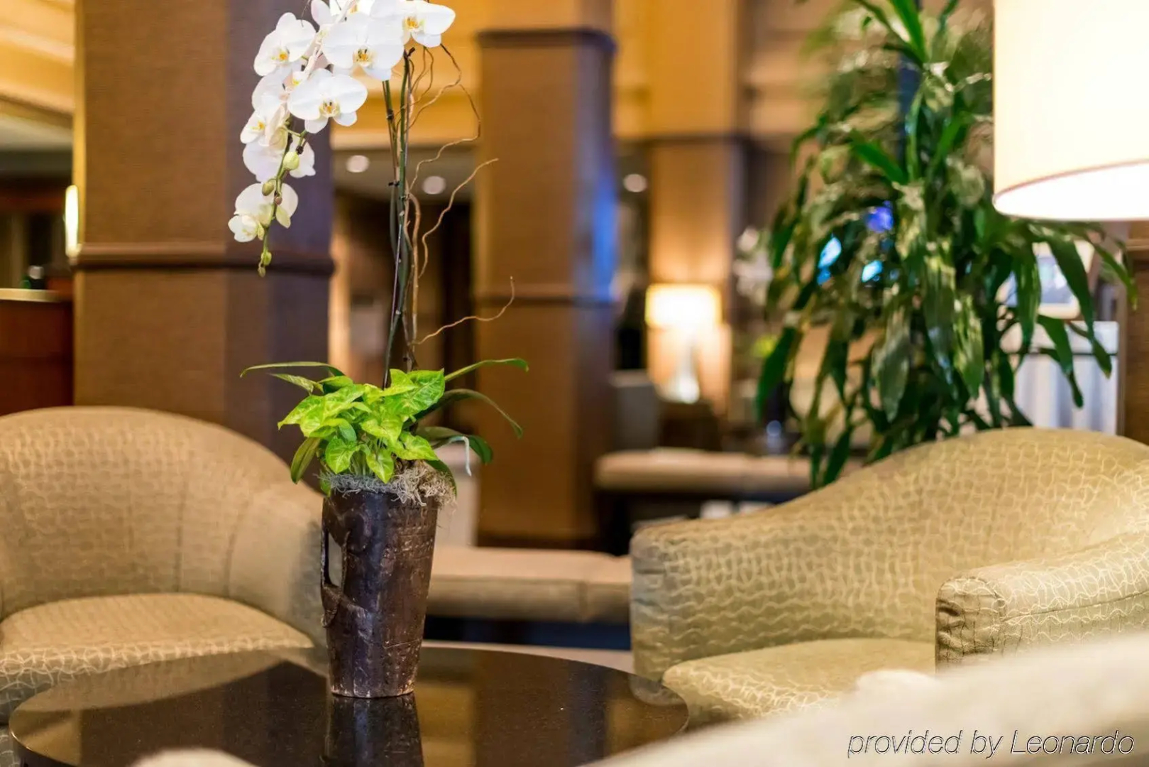 Foto - The Sofia Hotel