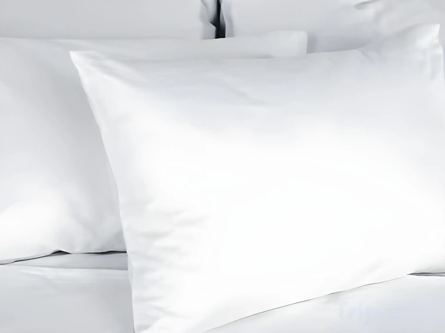 Photo - Hôtel Plaza Athénée - Dorchester Collection