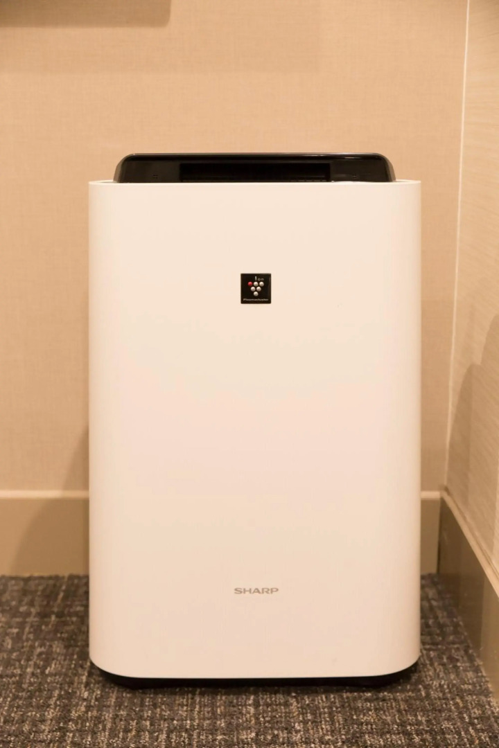 Foto - Osaka Riverside Hotel