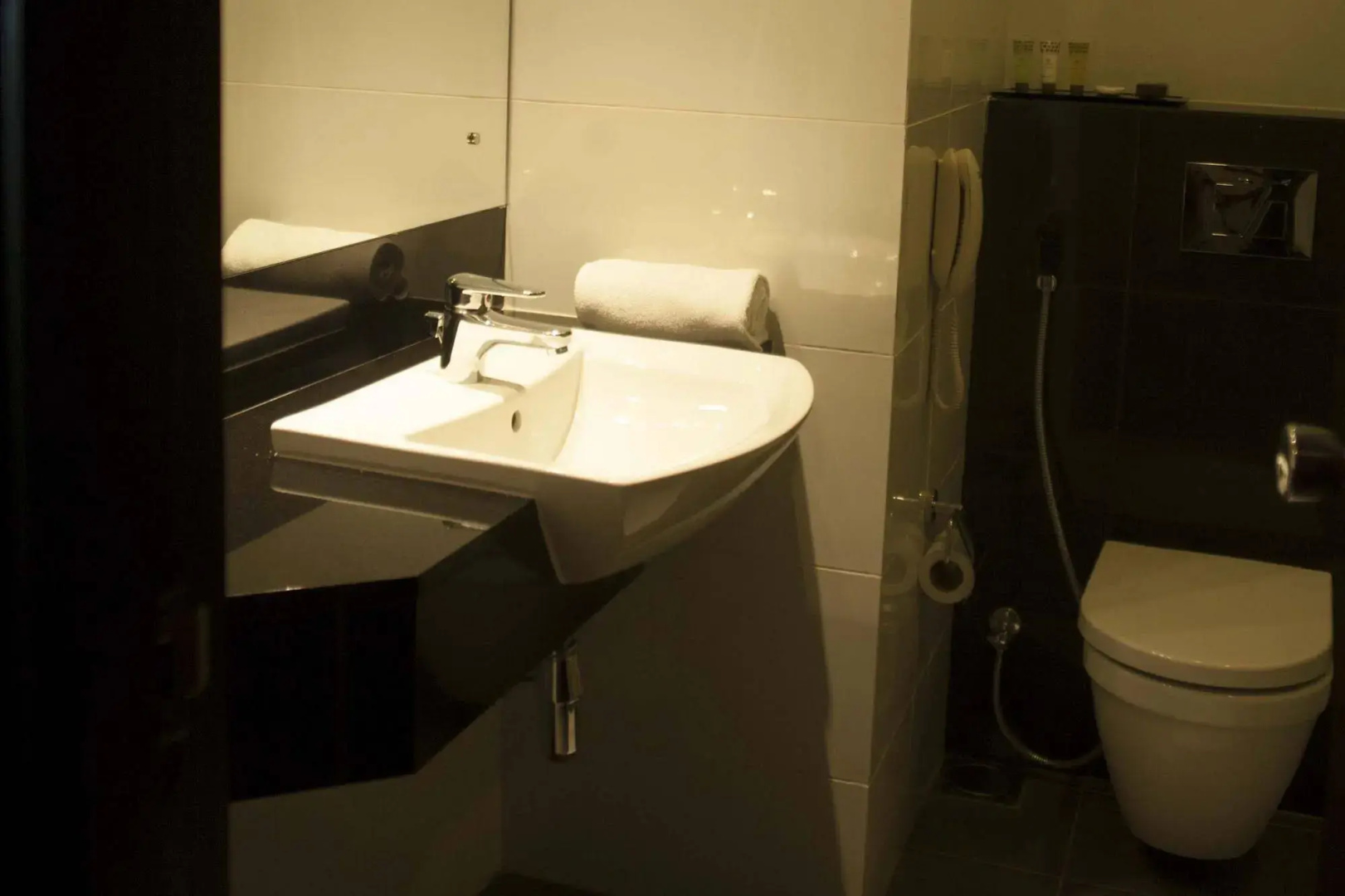 Foto - Renuka City Hotel