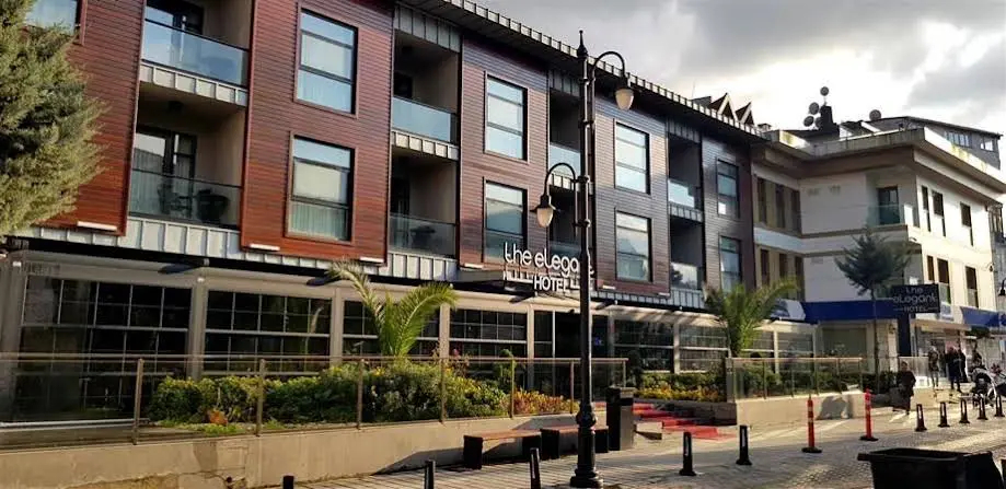 Photo - The Elegant Hotel