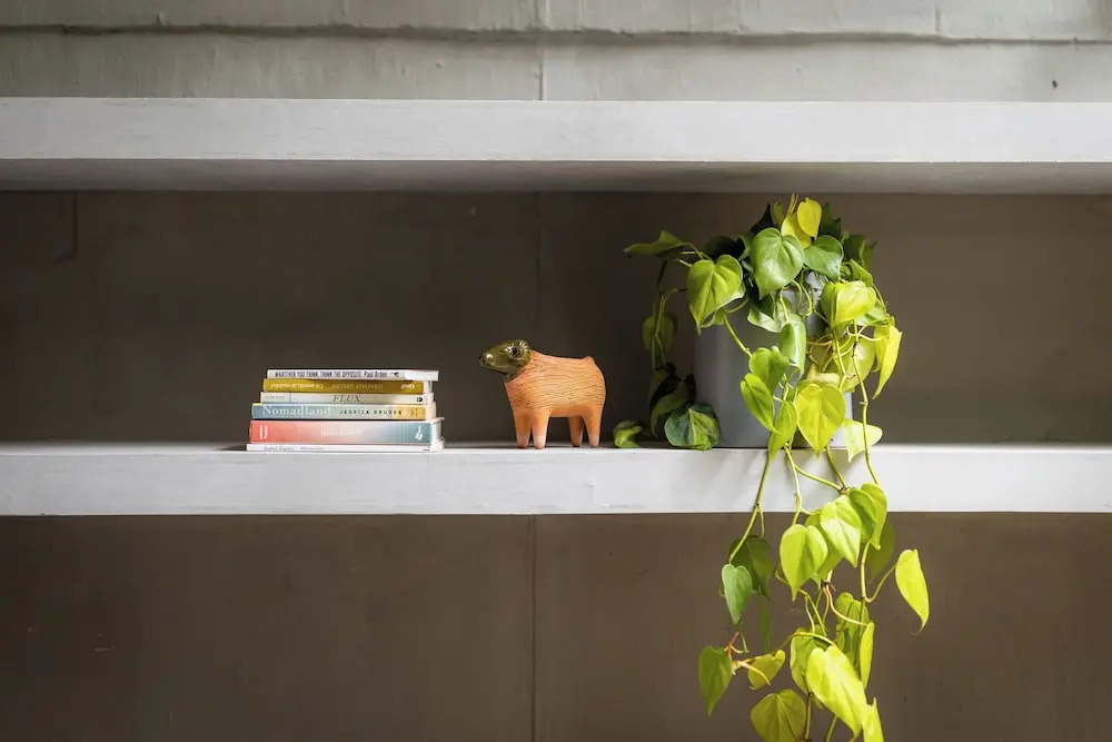 Photo - Outsite Mexico City Roma Sur