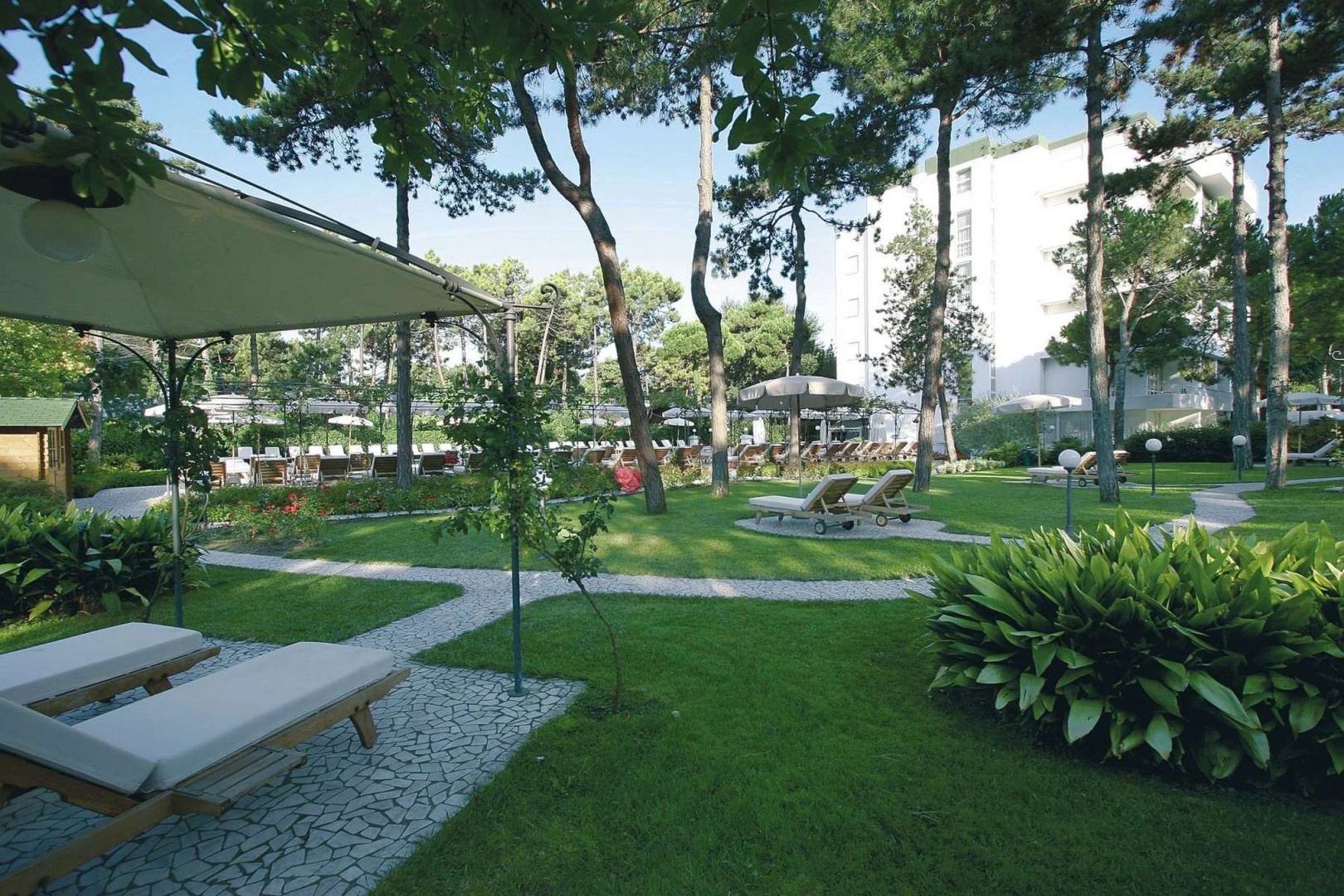 Foto - Hotel Greif