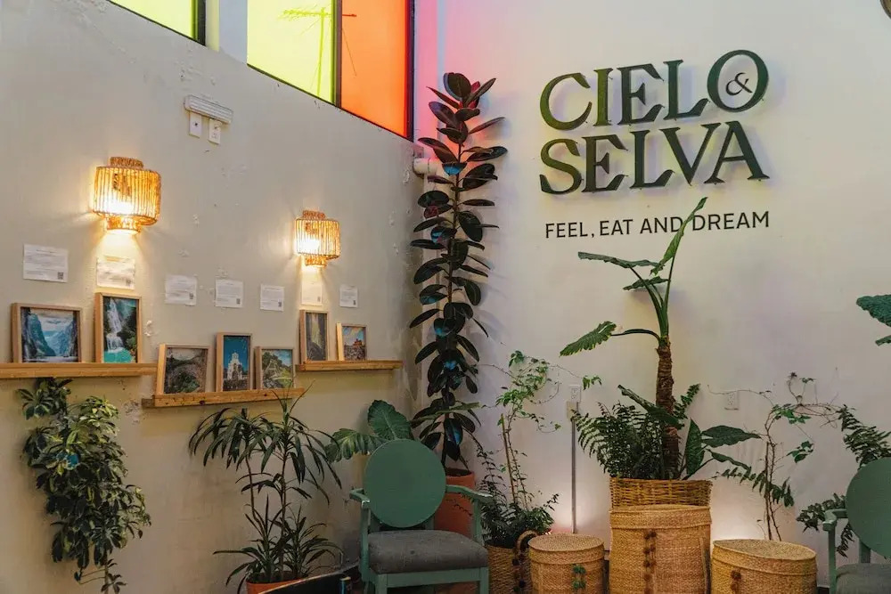 Foto - Hotel Cielo y Selva, San Cristobal de las Casas