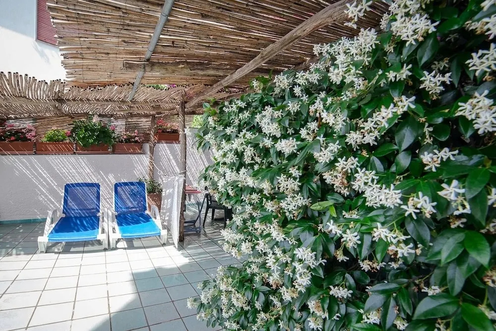 Photo - Hotel Bellevue Suite